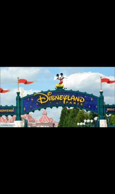 Appartement Vue Cathedrale- Centre Ville Meaux-Gare-Disney Kültér fotó